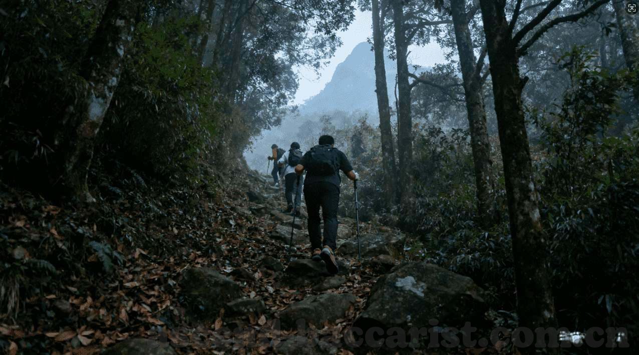 永利集团现任总裁-永利集团的新领航者，现任总裁的视野与行动